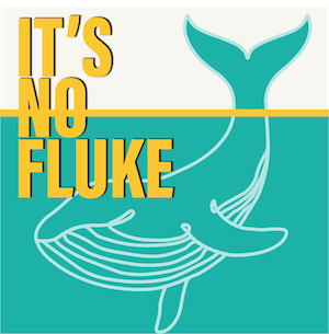 fluke_cover_art