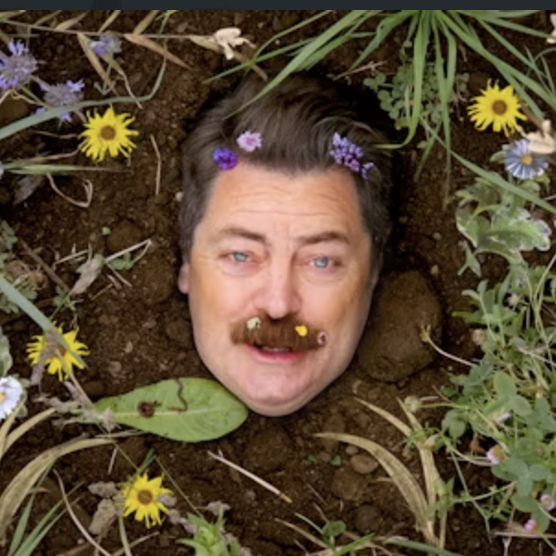 {{
                tmp_photo.alt }}