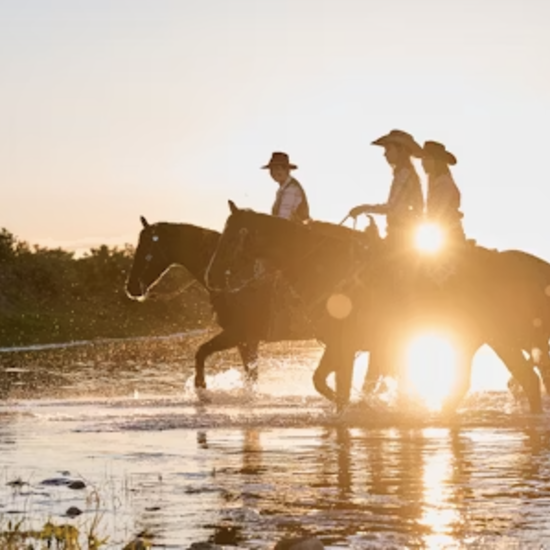 {{
                tmp_photo.alt }}